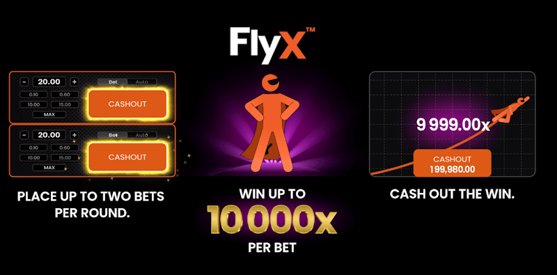 FlyX